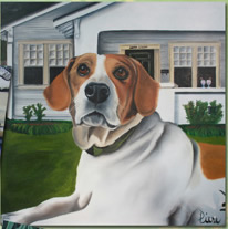 Pet Portraits